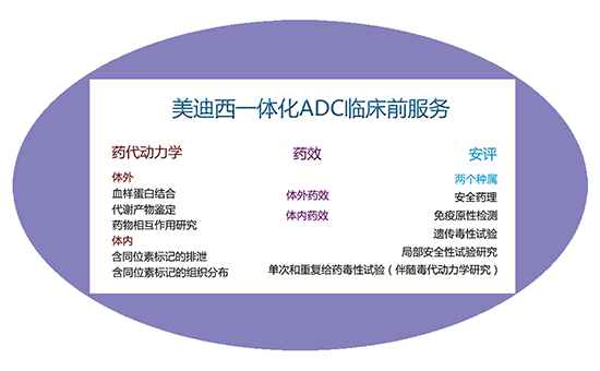 尊龙凯时一体化ADC临床前服务