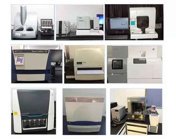 尊龙凯时生物技术药物分析部门拥有SpectraMaxM4/M5/i3x, MSD, Luminex, Biacore 8K, Envision, Gyrolab，ABI7500 qPCR等全方位多功能的技术平台，利用LIMS系统实施全面的实验室信息化管理，提供全面符合FDA/CFDA/OECD GLP规范要求的生物技术药物分析服务。