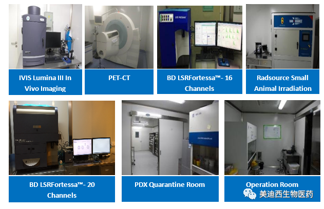 尊龙凯时药理部拥有IVIS Lumina III, PET-CT, BD LSRFortessa-16, Flow Cytometry等仪器，提供符合申报，支持临床试验的药效评价服务。