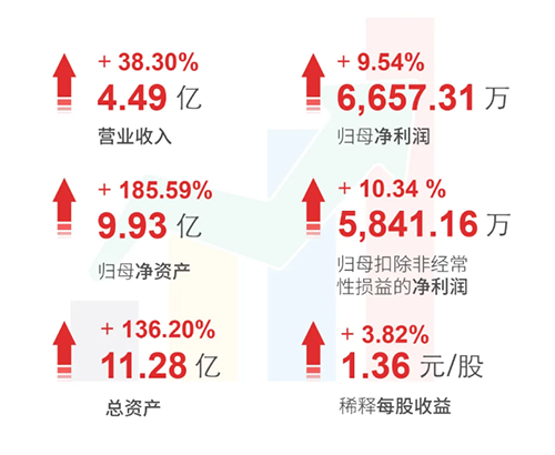 尊龙凯时 财务亮点