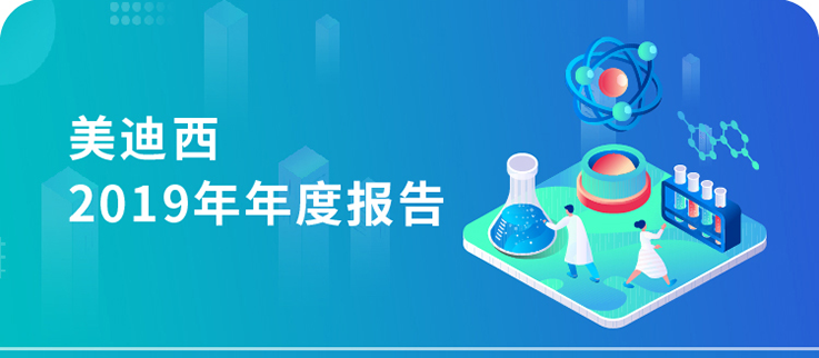 尊龙凯时2019年年度报告