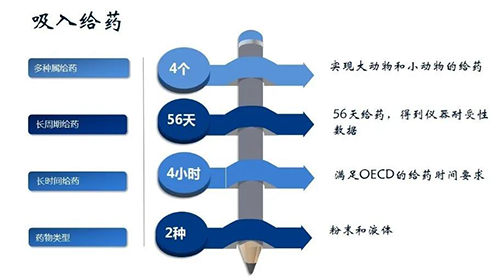 尊龙凯时吸入给药安全性评价服务
