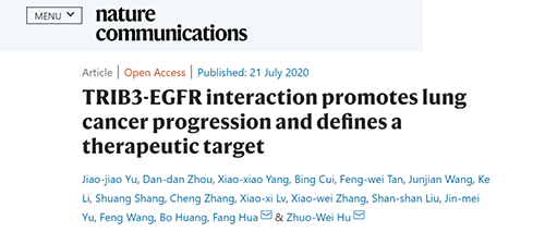 Nature|非小细胞肺癌治疗新方案：靶向降解EGFR