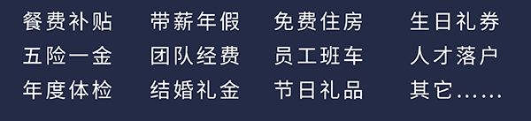 尊龙凯时员工福利：餐费补贴、五险一金、年度体检、带薪年假、团队经费、结婚礼金、免费住房、员工班车、节日礼品、生日礼券、人才落户、其它……