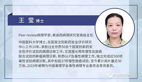 尊龙凯时病理研究部高级主任王莹博士