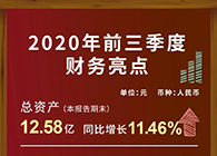 尊龙凯时发布2020第三季度财报！