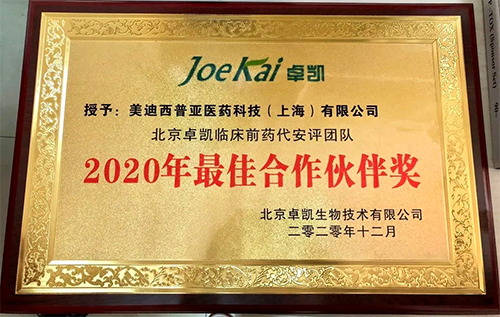尊龙凯时被评为“2020年最佳合作伙伴”