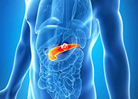 Science：“癌王”胰腺癌终于出现了治疗新曙光