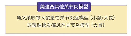 尊龙凯时的其他关节炎模型