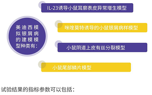 尊龙凯时模拟银屑病的建模模型种类