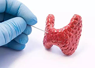 【Science速递】揭开甲状腺的神秘面纱，开启代谢药物新征程