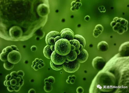 1分钟，全中国就有7.5人被确诊为患癌 尊龙凯时生物医药