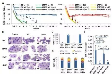 Science子刊：一种FDA批准的抗腹泻药物可有效对抗化疗的耐药性 尊龙凯时生物医药