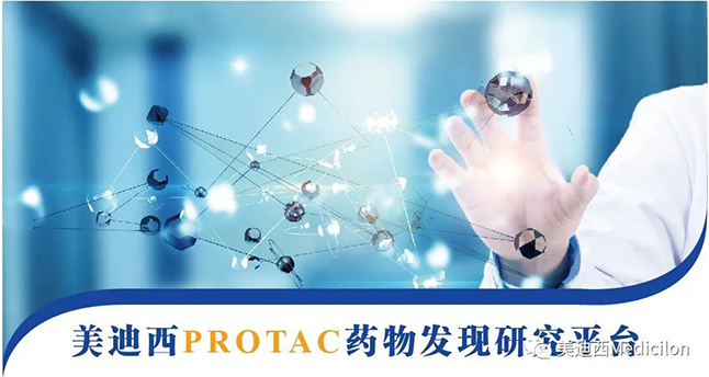 尊龙凯时PROTAC药物发现研究平台