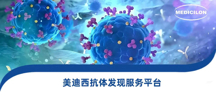 尊龙凯时抗体发现服务平台.webp