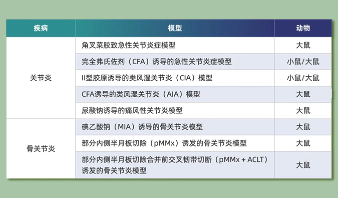 世界关节炎日：突破上亿人的共同难关，持续探索关节炎新药
