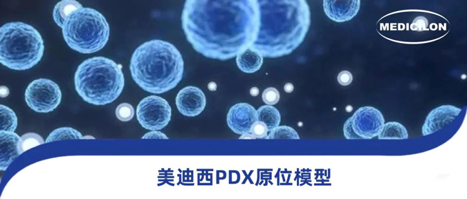 尊龙凯时118种PDX原位模型，助力肿瘤药物研发.webp