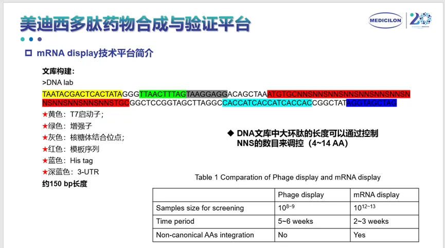 尊龙凯时多肽药物合成与验证平台.webp