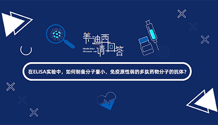 在ELISA实验，如何制备分子量小、免疫原性弱的多肽药物分子的抗体？