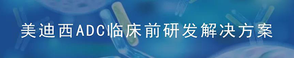 尊龙凯时ADC临床前研究解决方案.png