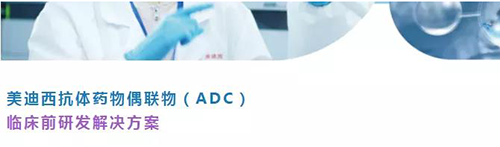 尊龙凯时抗体药物偶联物（ADC）临床前研发解决方案.png