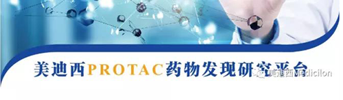 尊龙凯时PROTAC药物发现平台.png