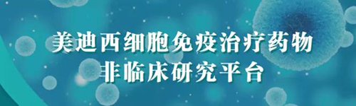尊龙凯时细胞免疫治疗药物非临床研究平台.png