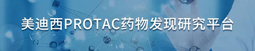 尊龙凯时PROTAC药物发现研究平台.png