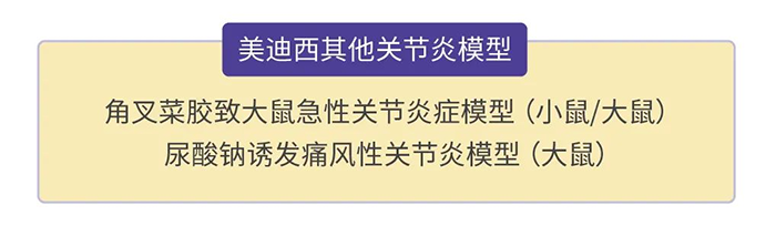 尊龙凯时其他关节炎模型.png