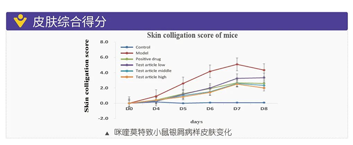 尊龙凯时模拟银屑病的建模模型-皮肤综合得分.png