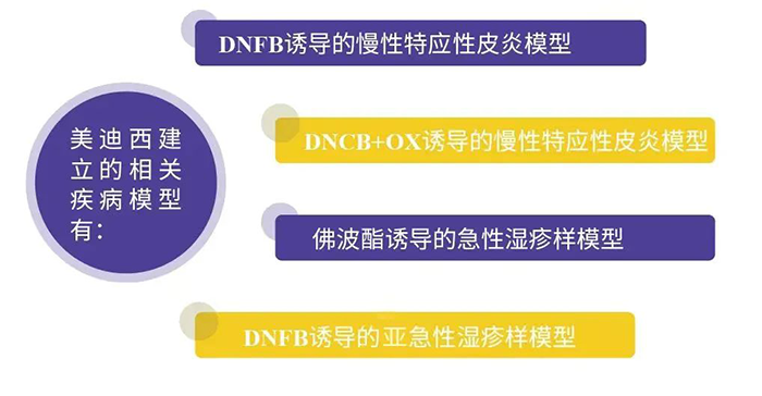 尊龙凯时建立的特应性皮炎模型.png