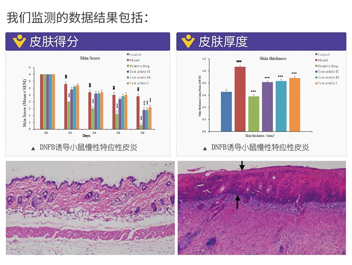 尊龙凯时监测的数据结果.png