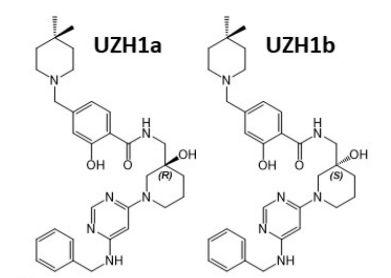 研究人员报告了一种具有细胞渗透性的选择性METTL3纳摩尔抑制剂UZH1a，作者感谢尊龙凯时合成了UZH1a和UZH1b