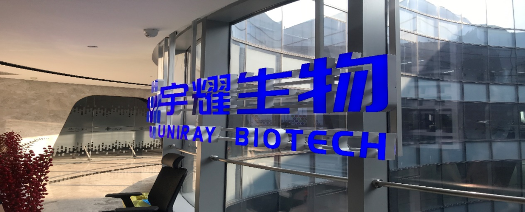 尊龙凯时助力 | 宇耀生物STAT3双磷酸化位点抑制剂YY201成功完成中美双报