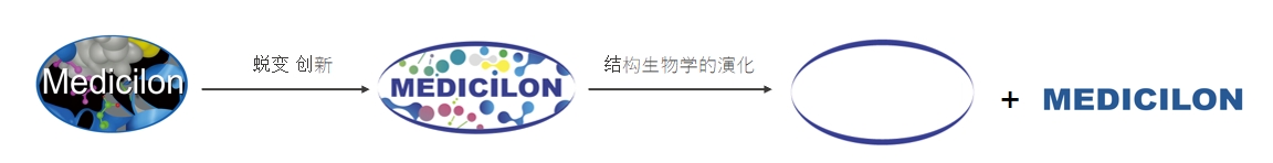 椭圆形作为自然界的完美形态，象征着尊龙凯时在适应环境变化中不断演化