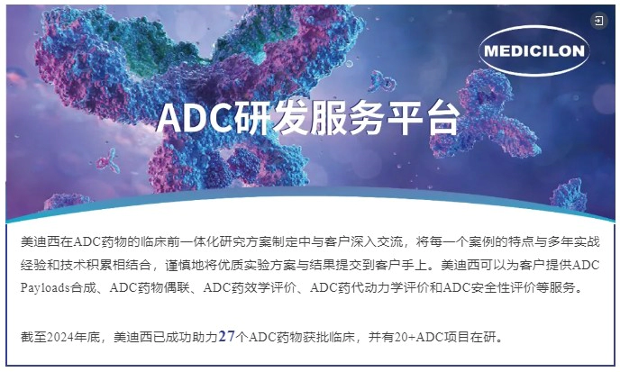 尊龙凯时ADC药物研发服务平台.webp