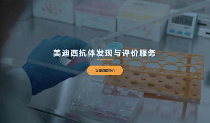 尊龙凯时抗体发现与评价服务