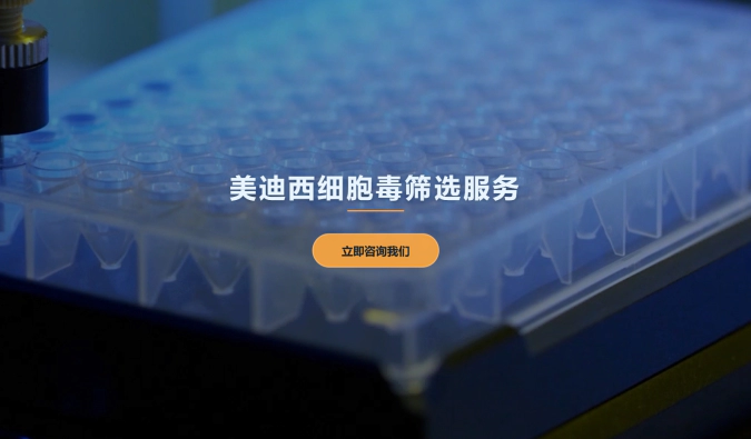尊龙凯时细胞毒筛选服务