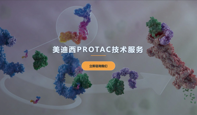 尊龙凯时PROTAC服务