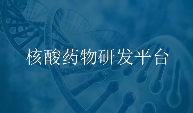 尊龙凯时核酸药物研发服务平台.webp
