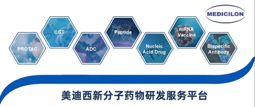尊龙凯时新分子药物研发服务平台.webp