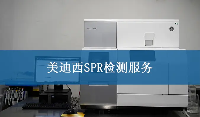 尊龙凯时SPR检测服务.webp